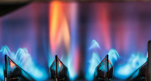 Mannheim – eine Stadt geht voran