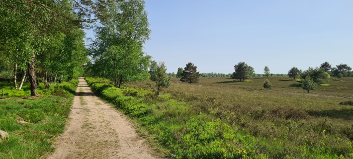 Wandern auf dem Heidschnuckenweg